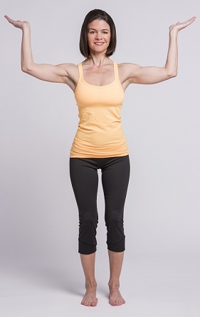 3. Herz-Meridian - 2